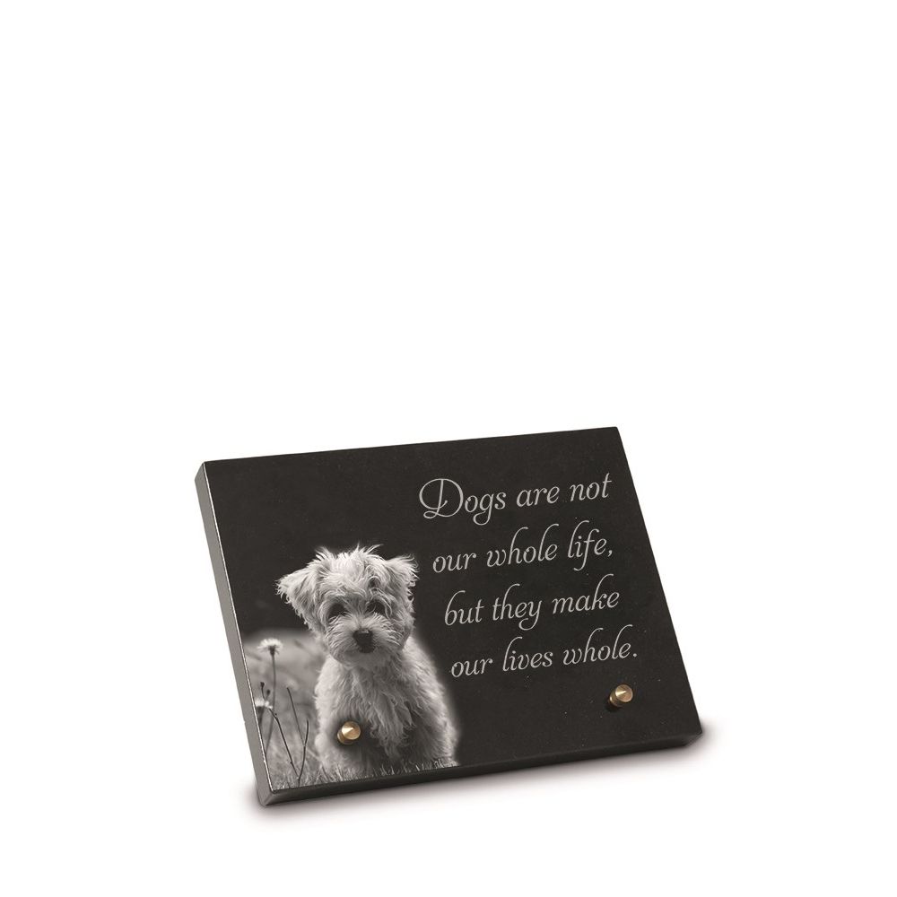 A190_Dieren_EN.jpg