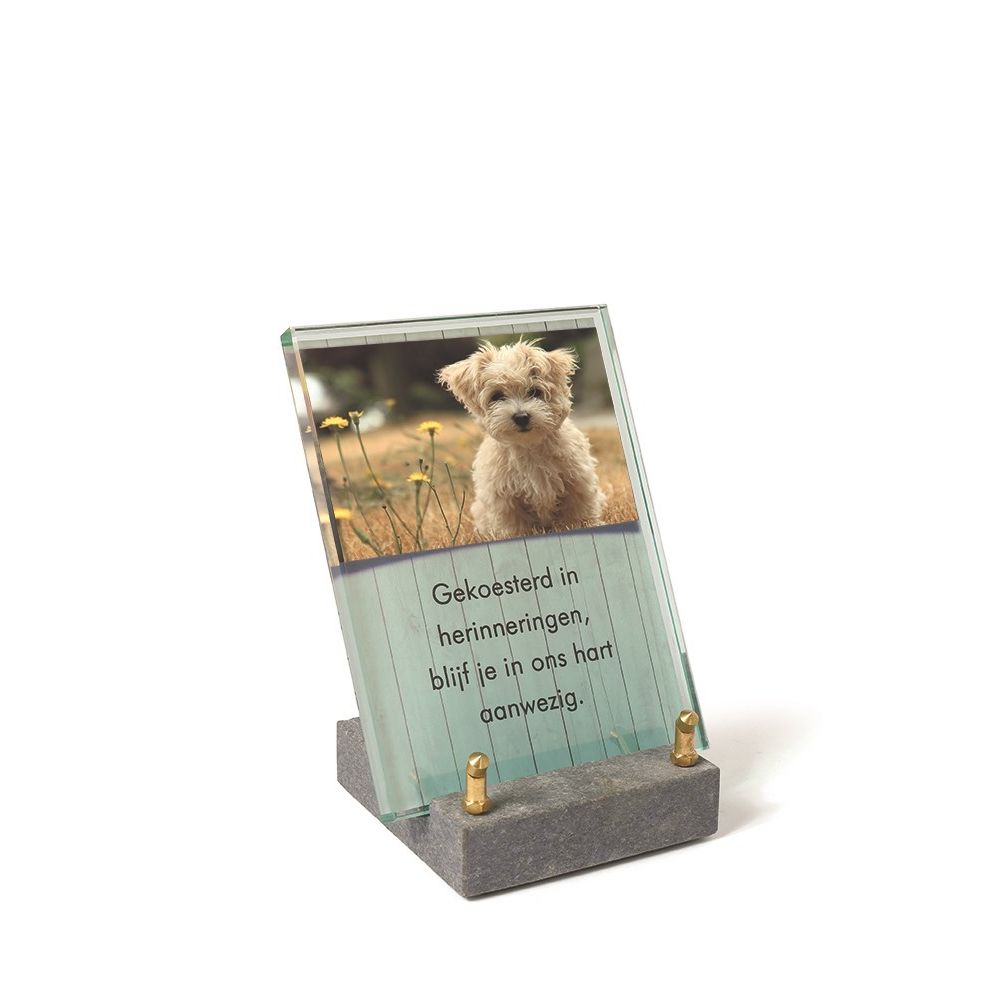 A206_Dieren.jpg