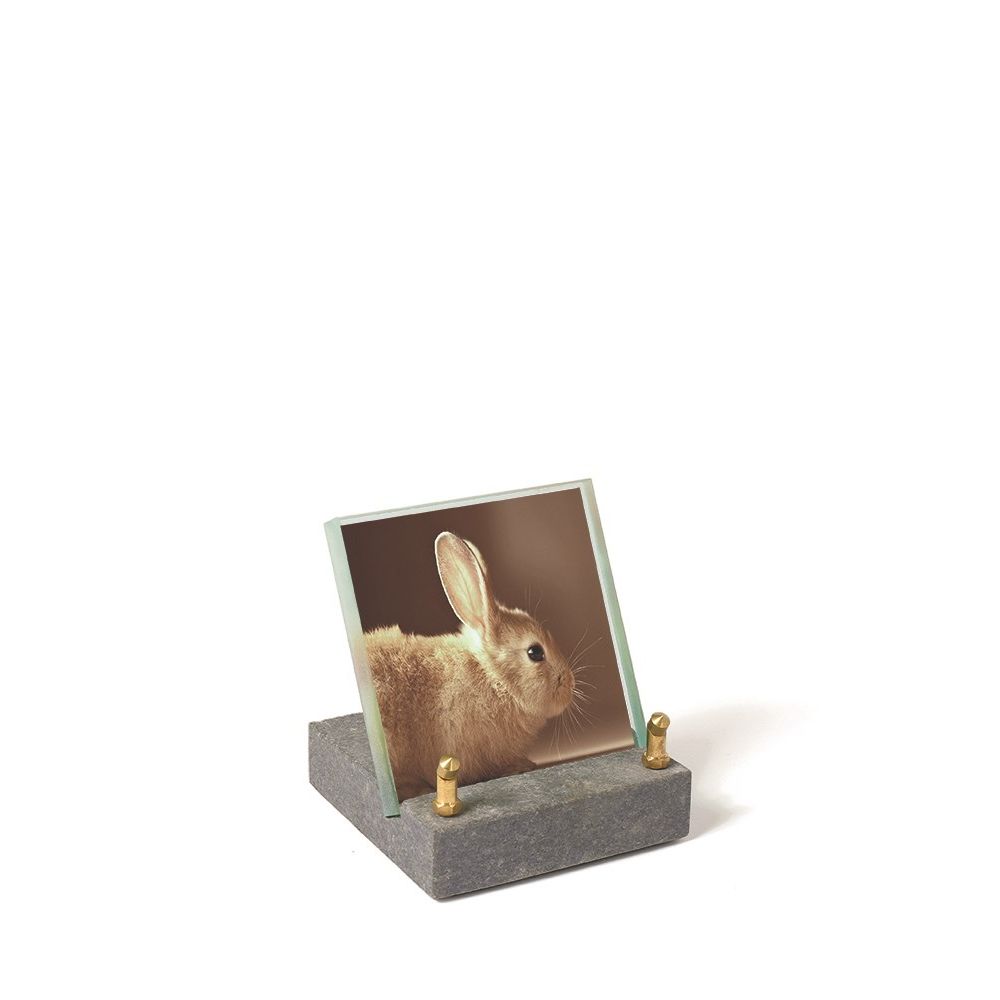 A208_Dieren.jpg