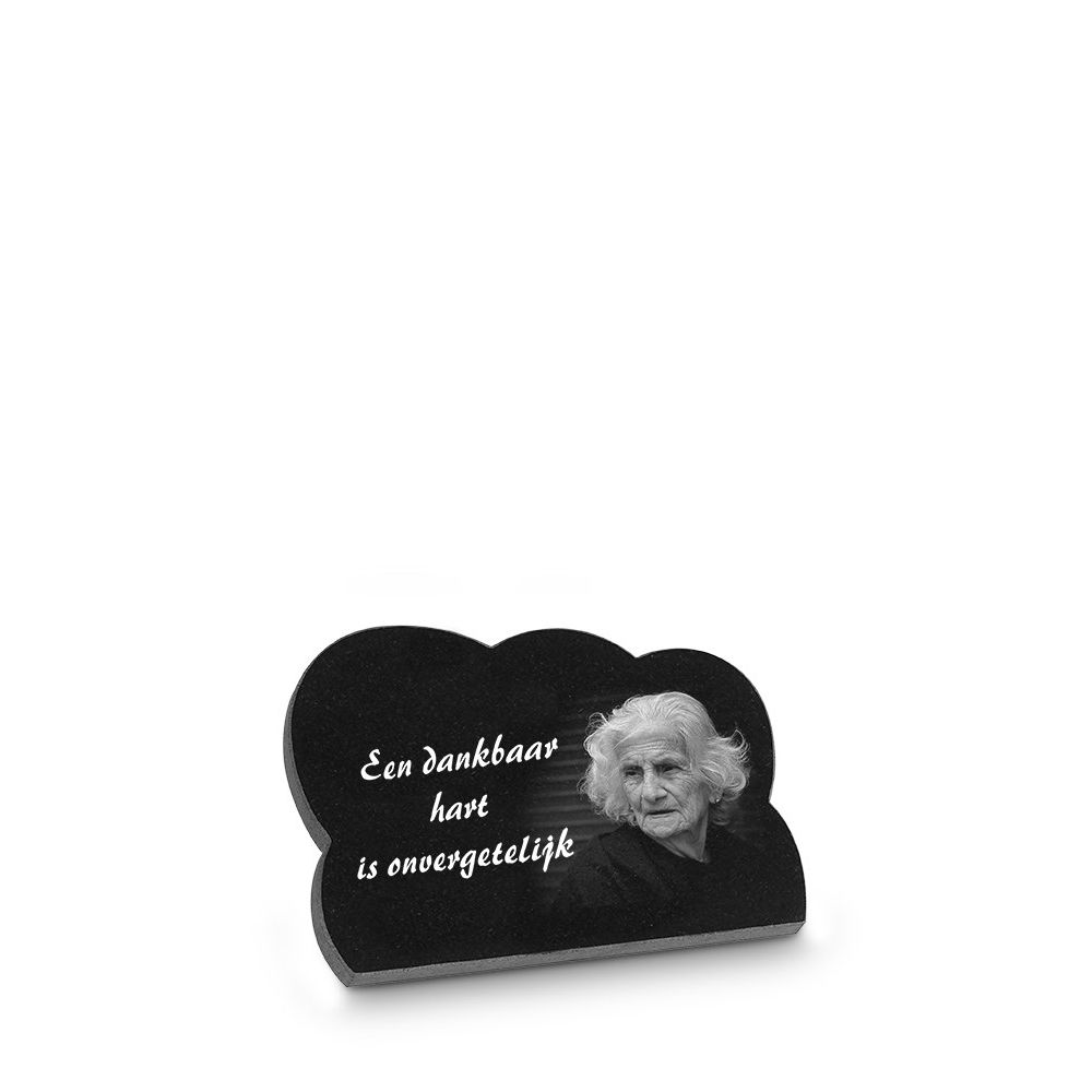 A38LP.jpg