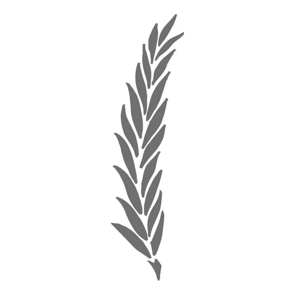 BL44.jpg