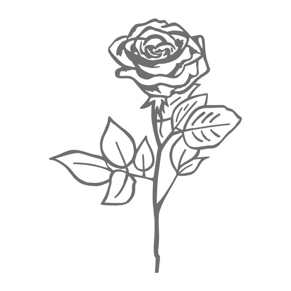 BL60.jpg