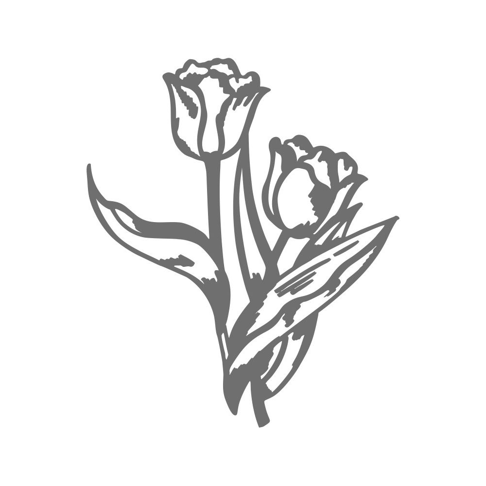 BL63.jpg