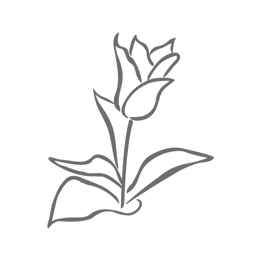 BL64.jpg
