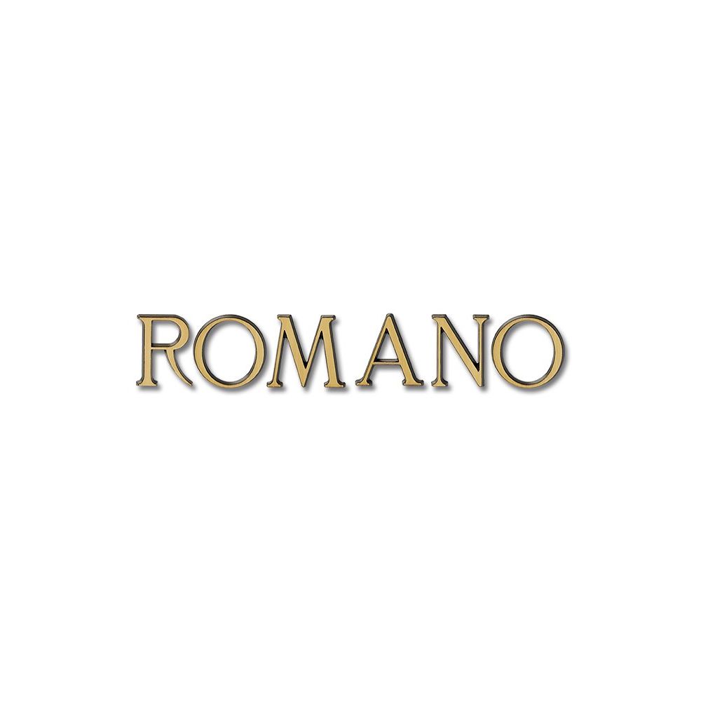 Romano_Brons_Vezzani.jpg