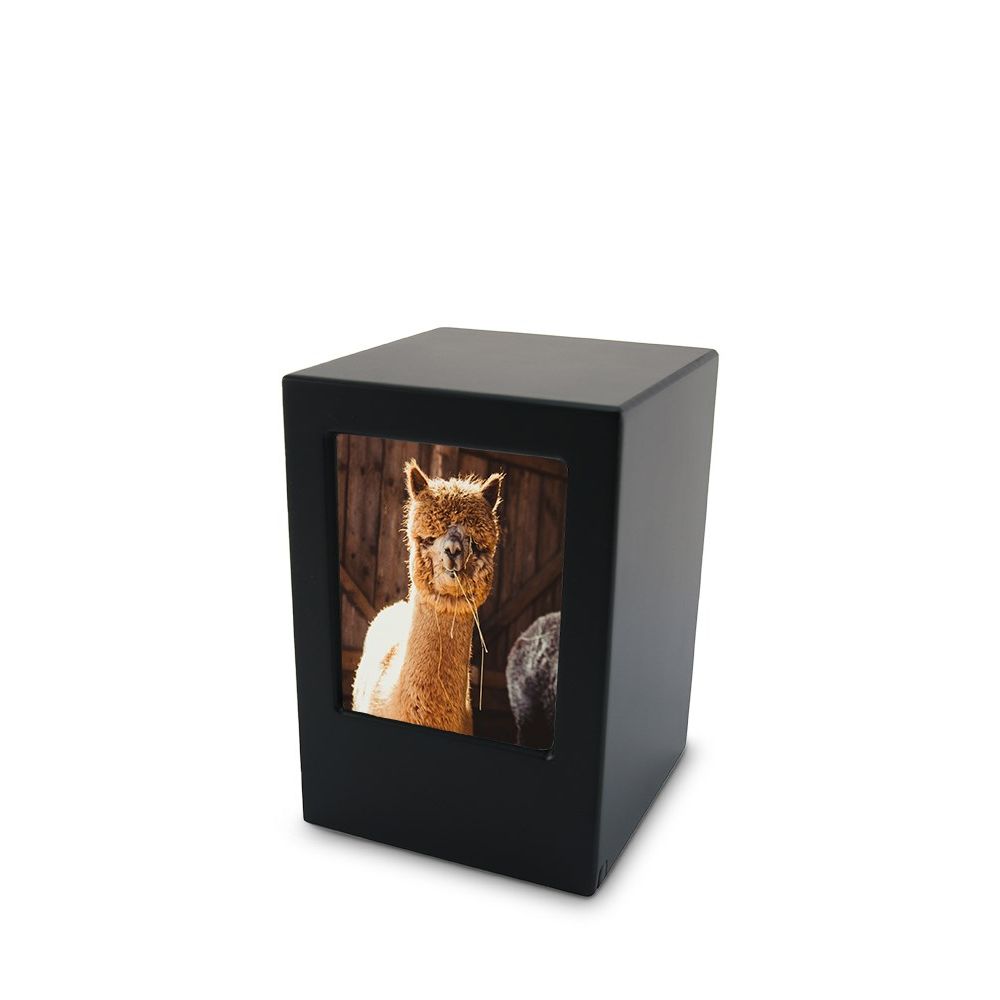 TBCMPK-200_Pet.jpg