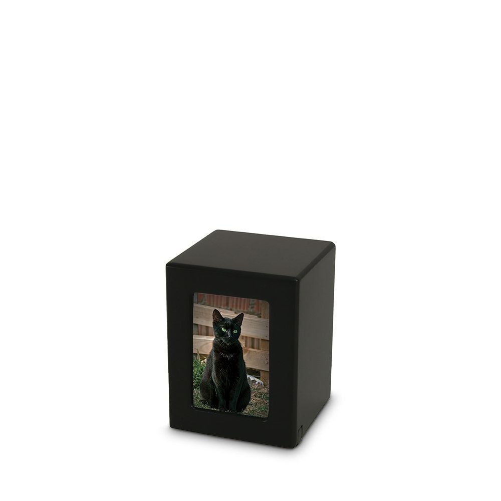 TBCMPK-25_Pet.jpg