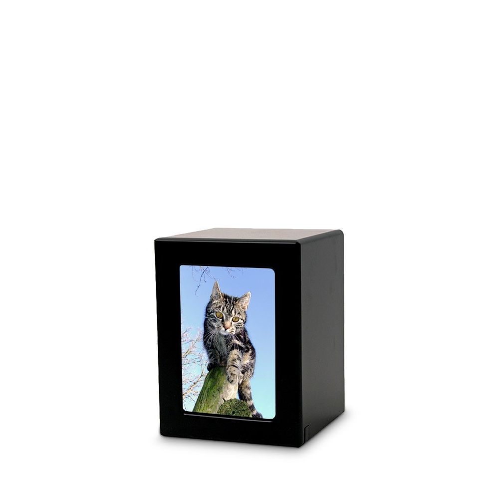 TBCMPK-25_Pet2.jpg