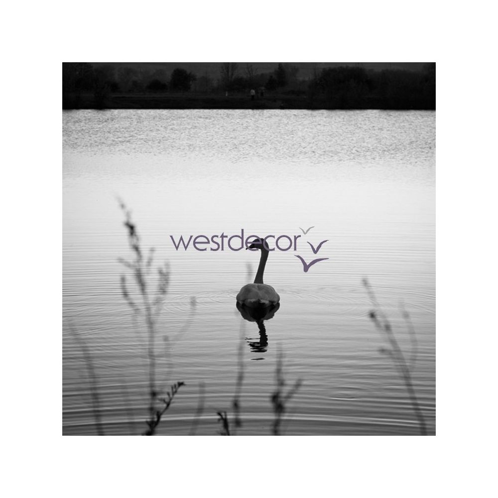 ZPA60.jpg