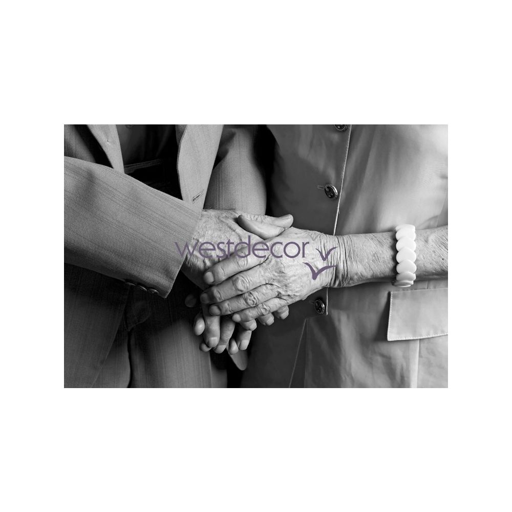 ZPV03.jpg