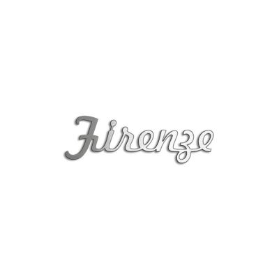 Type Firenze | Productie Westdecor  | Inox