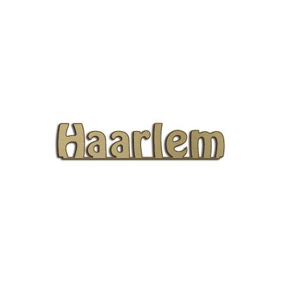 Haarlem_B.jpg