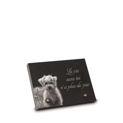 A190_Dieren_FR.jpg