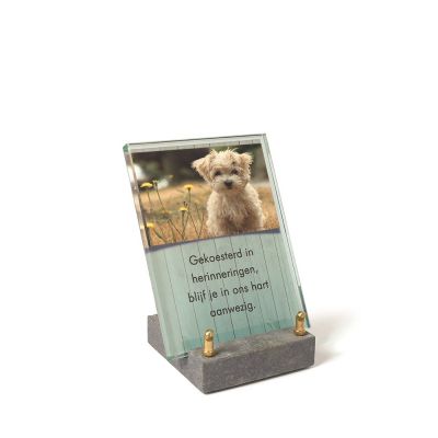 A206_Dieren.jpg
