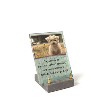 A206_Dieren_FR.jpg
