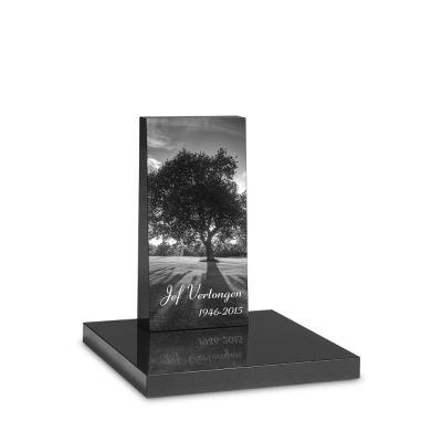 PUV46.jpg