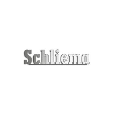 Schliema_I.jpg