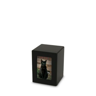 TBCMPK-25_Pet.jpg