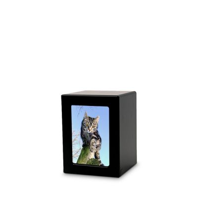 TBCMPK-25_Pet2.jpg