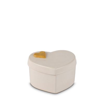 UFCCUOMIN-01 | 7x6,5x5cm - 65ml