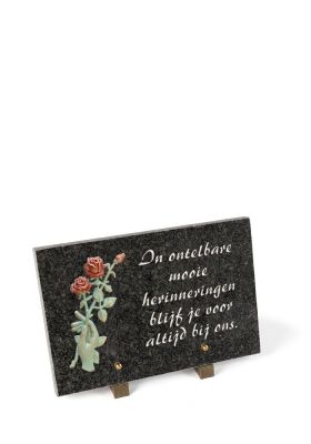 A103GR/D 20x30cm