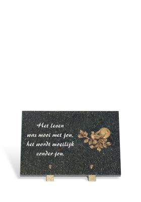 A125/C 20x30cm