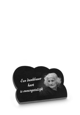 A38LP | Marlin + Tekst + Laserfoto persoon | 18x25cm