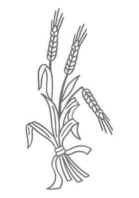 BL37