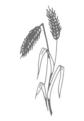 BL38