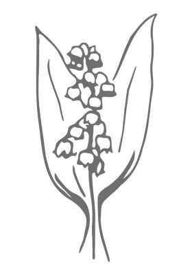BL43