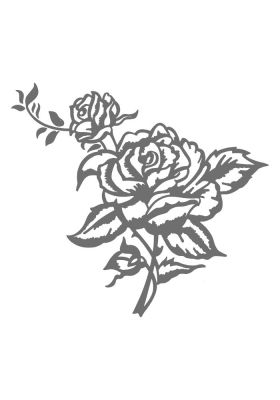 BL53