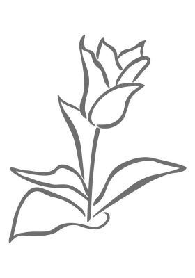 BL64