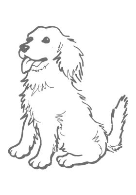 DIER30