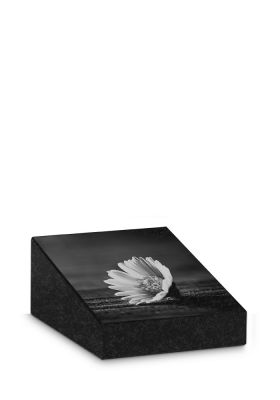 FBMUMALT | Marlin + Laserfoto op volledige oppervlakte | 13x17x3/7cm