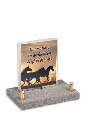 Model6