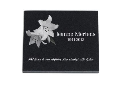 J2535L | Marlin + Tekst + Lasertekening | 25x35cm