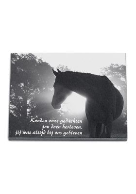 J3040LV | Marlin + Lasergravure compleet | 30x40cm