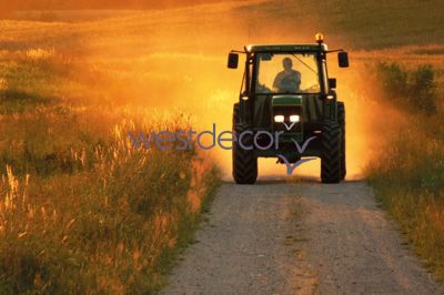 KPS15