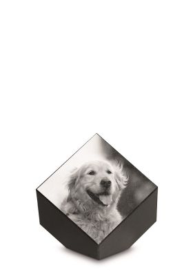 PFR3LT | Marlin +Laserfoto op volledige oppervlakte | 9x9x9cm