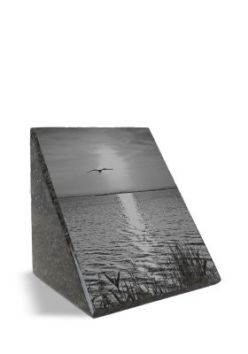 PFR4LT | Marlin + Laserfoto op volledige oppervlakte | 10x10x14cm