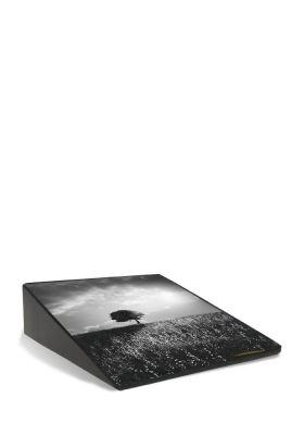 PFR5LT | Marlin + Laserfoto op volledige oppervlakte | 12 x 14 x 4 cm