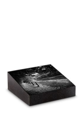 PFR6LV | Marlin + Laserfoto volledig oppervlak | 12x12x2/4cm - Liggend