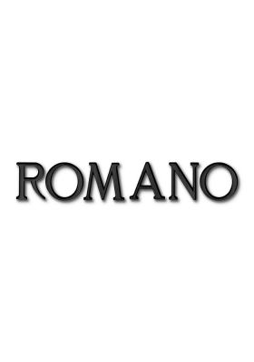 Romano - Emaillé Zwart - Noir | Brons | Caggiati
