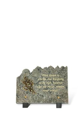 SW123/C 15x20cm