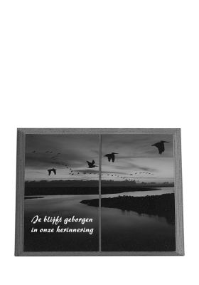 T3040LV | Marlin + Laserfoto op volledige oppervlakte | 30x40cm