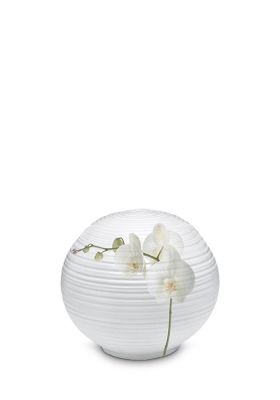 UPOLSFE10S | UPOLSPF118 | 11cm 0,5L