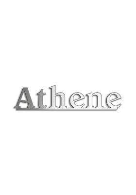 Type Athene | Productie Westdecor  | Inox