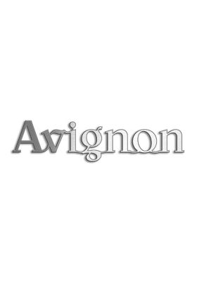 Type Avignon | Productie Westdecor  | Inox