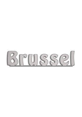 Type Brussel | 5mm Alu zilver
