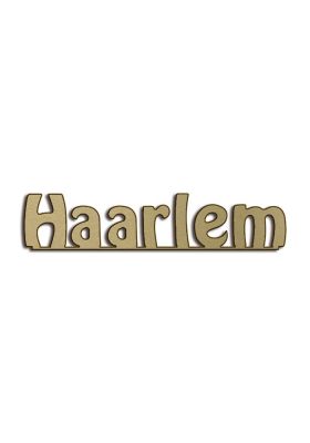 Type Haarlem | Productie Westdecor  | Brons